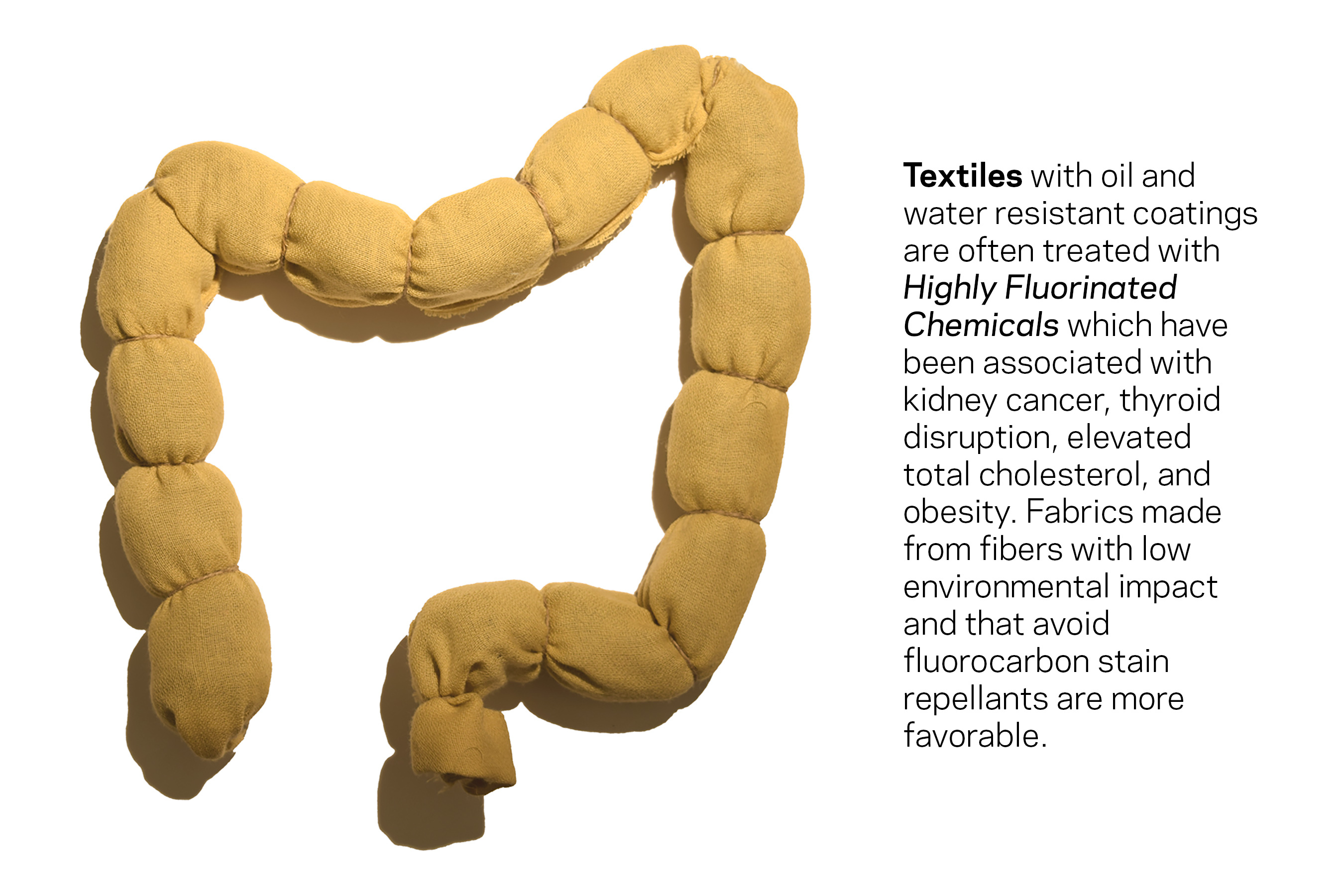 Healthy Materials Lab Material Bodies An Exhibition